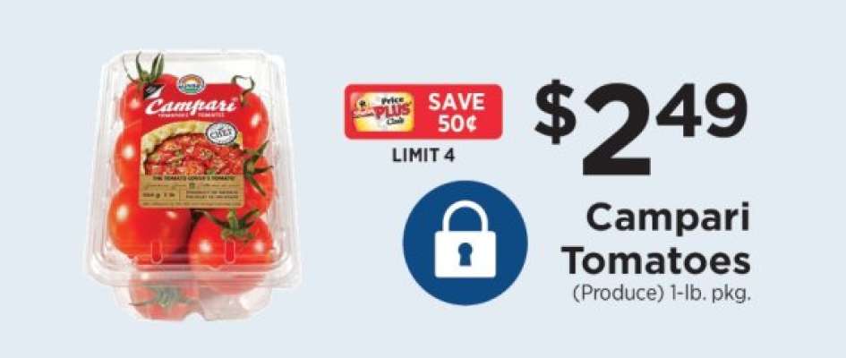 Campari Tomatoes
