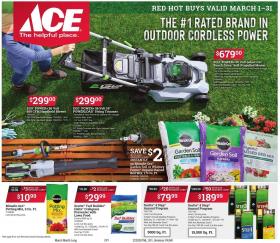 ACE Hardware - March Red Hot Buys