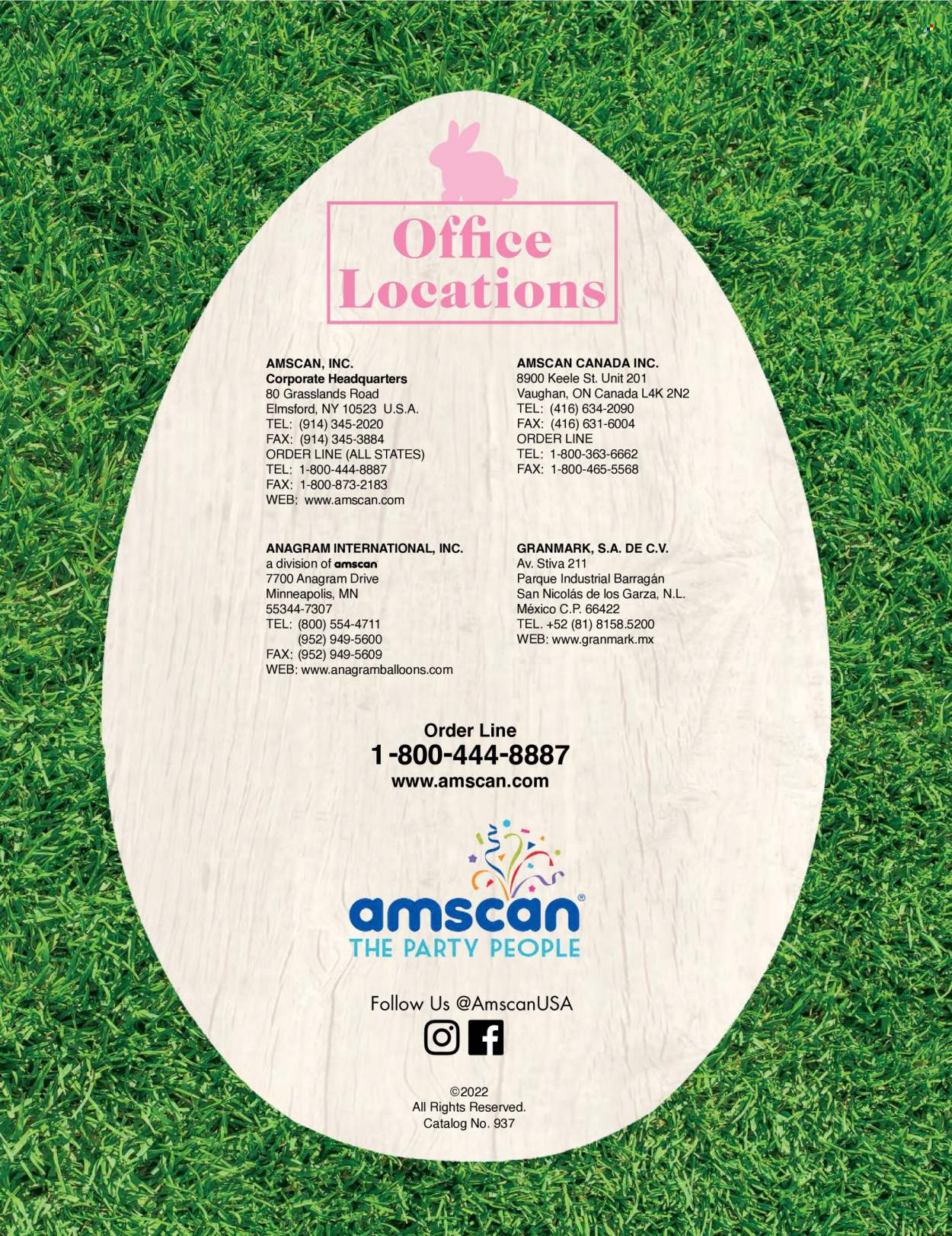 Amscan flyer . Page 153.