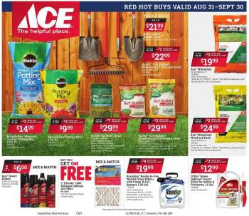 ACE Hardware Ad - Red Hot Buys