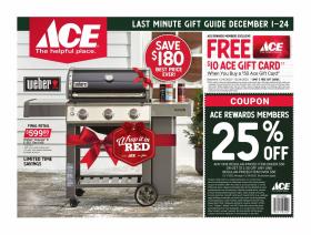 ACE Hardware - Last Minute Gift Guide