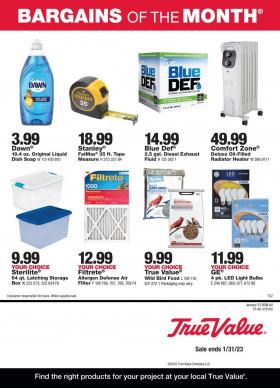 True Value - January Bargains of the Month