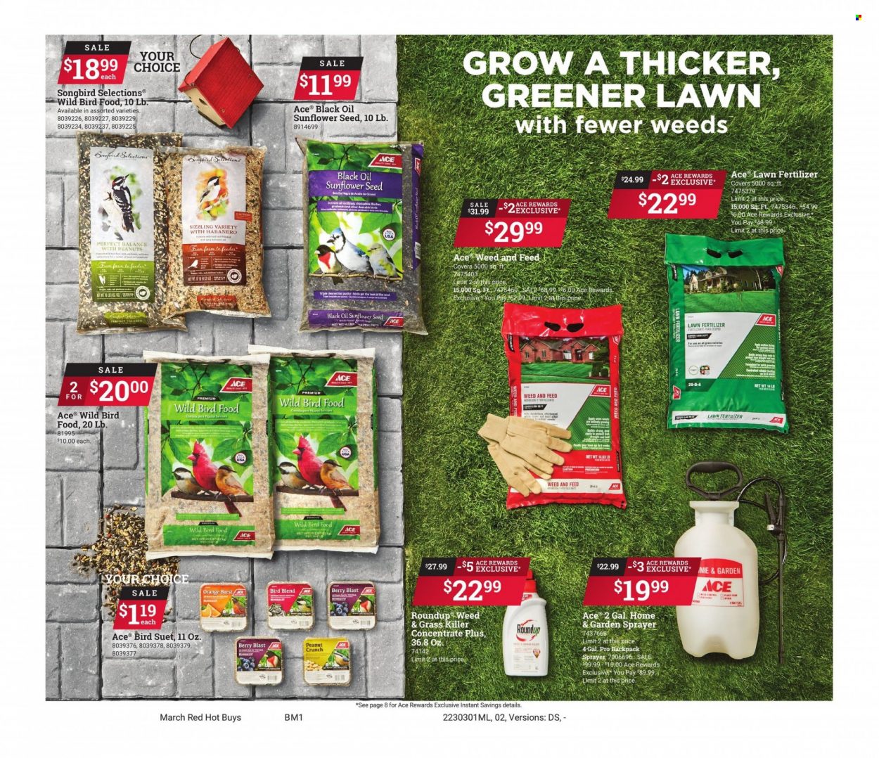 ACE Hardware flyer  - 03.01.2023 - 03.31.2023. Page 2.