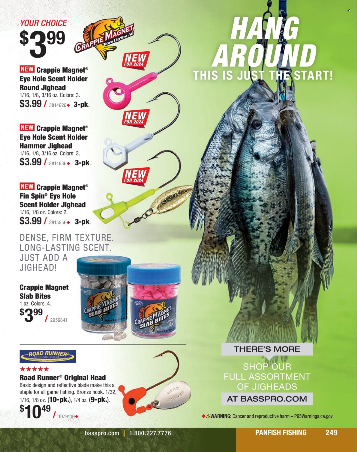 thumbnail - Cabela's Flyer - Sales products - holder, hammer. Page 249.