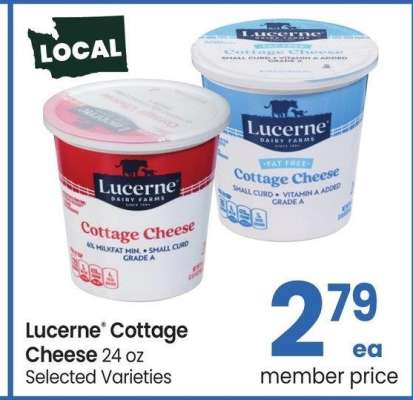 thumbnail - Cottage cheese