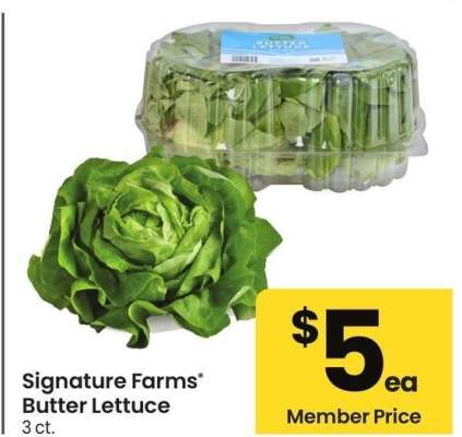 thumbnail - Butter lettuce