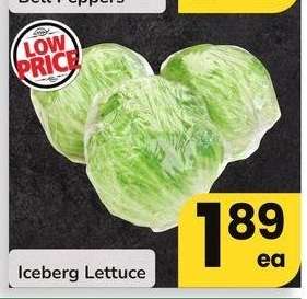 thumbnail - Lettuce