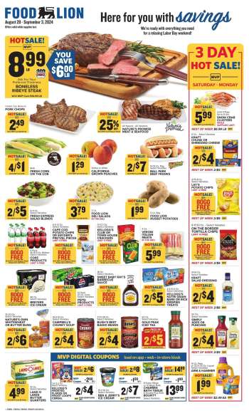 thumbnail - Food Lion Ad - Weekly Ad