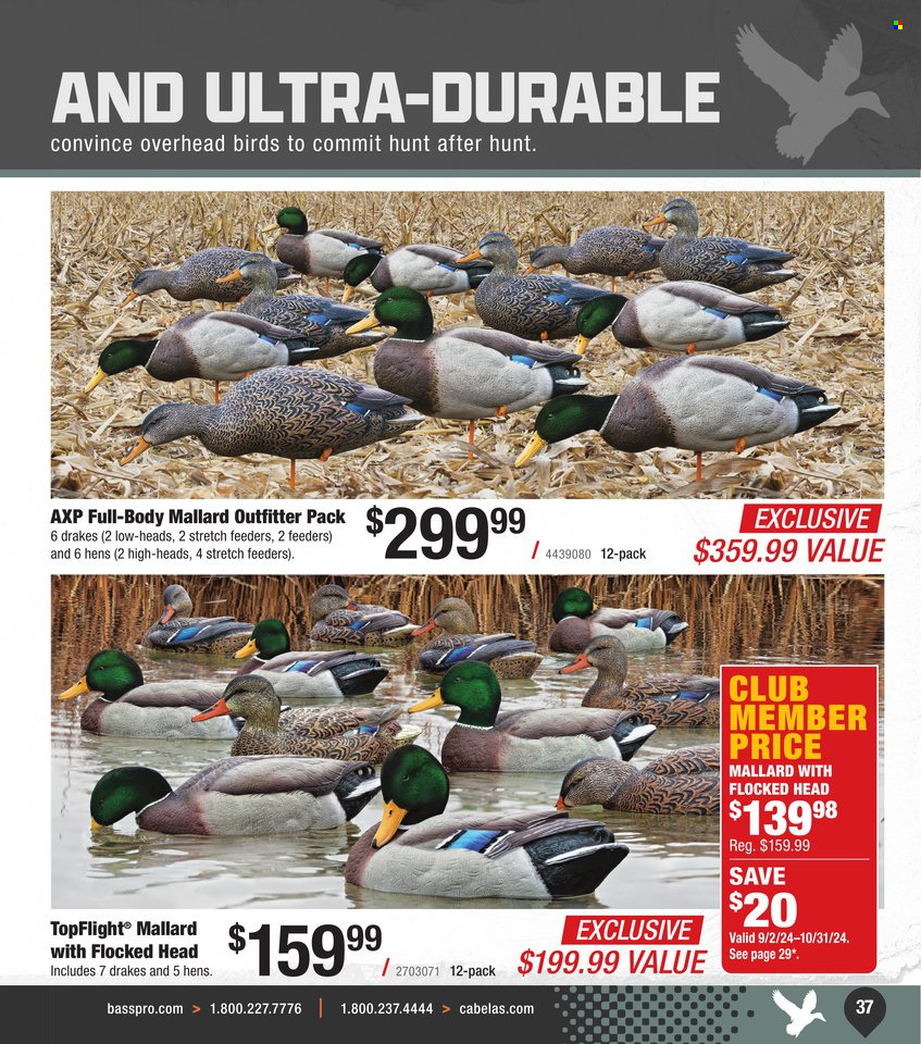 Cabela's ad. Page 1