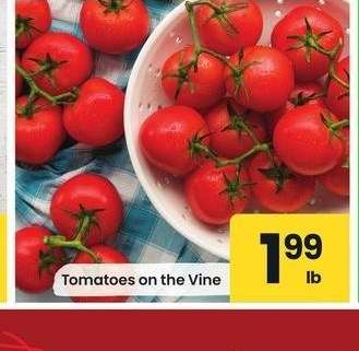 Tomatoes on the Vine