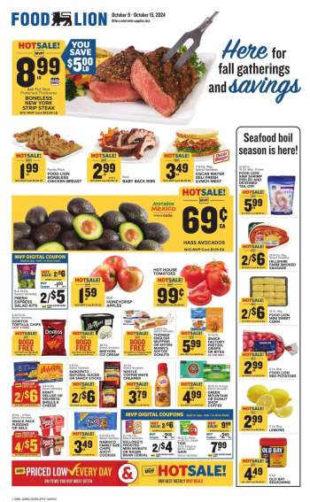 thumbnail - Food Lion Ad - Weekly Ad