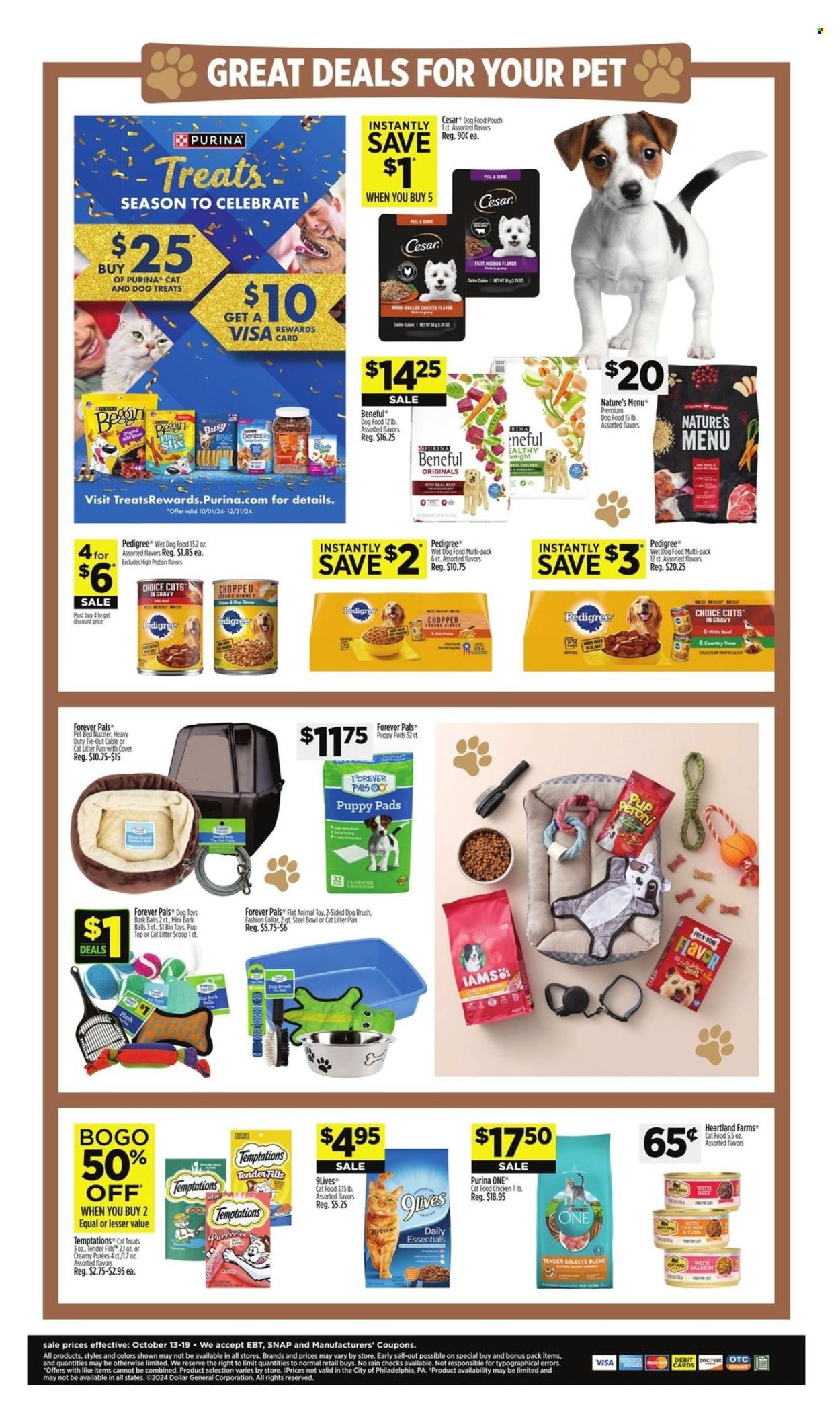 Dollar General ad - 10/13/2024 - 10/19/2024. Page 8