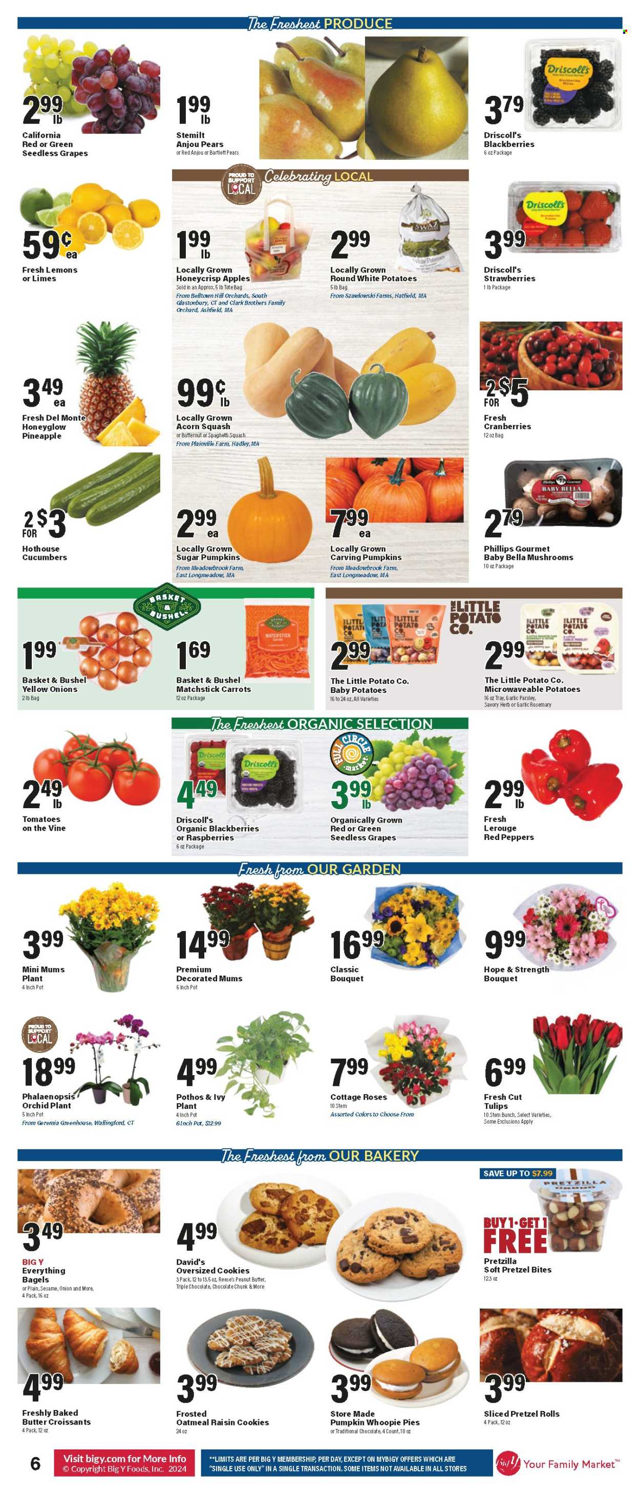 Big Y ad - 10/17/2024 - 10/23/2024. Page 7