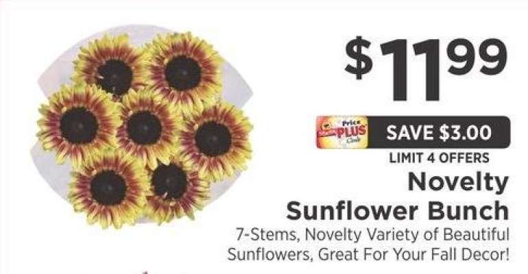 Novelty Sunflower Bunch - 7-Stems, Novelty Variety of Beautiful Sunflowers, Great For Your Fall Decor!