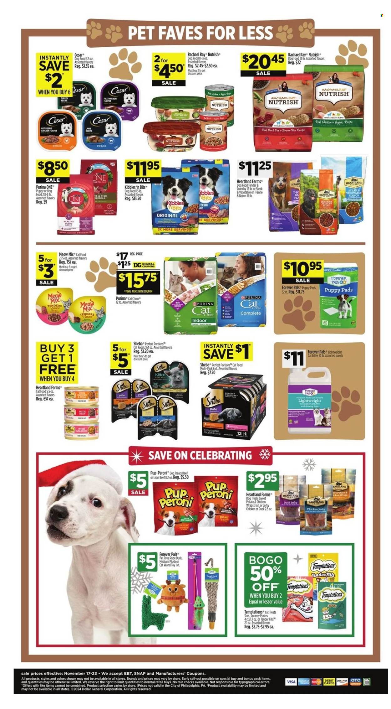 Dollar General ad - 11/17/2024 - 11/23/2024. Page 1