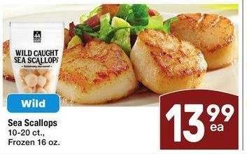 Sea Scallops - 10-20 ct., Frozen 16 oz.