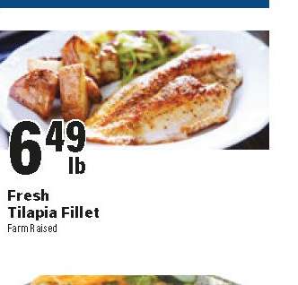 Fresh Tilapia Fillet