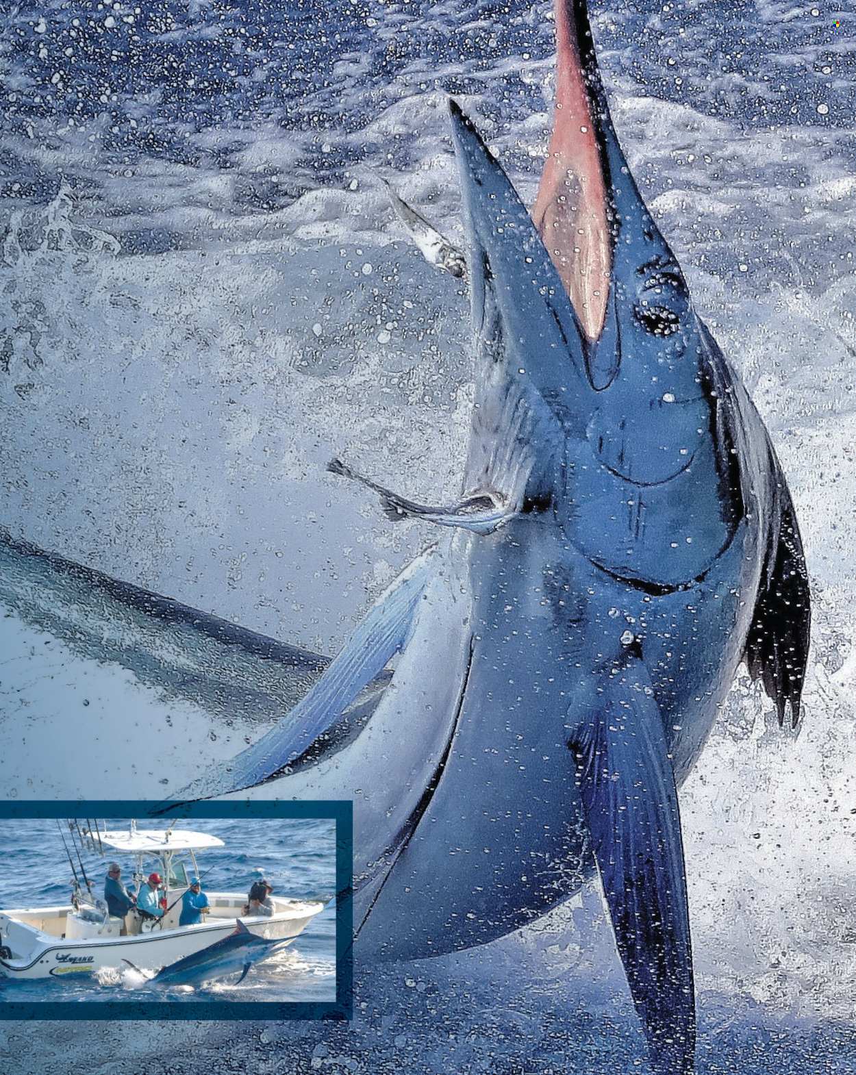 Cabela's ad. Page 1