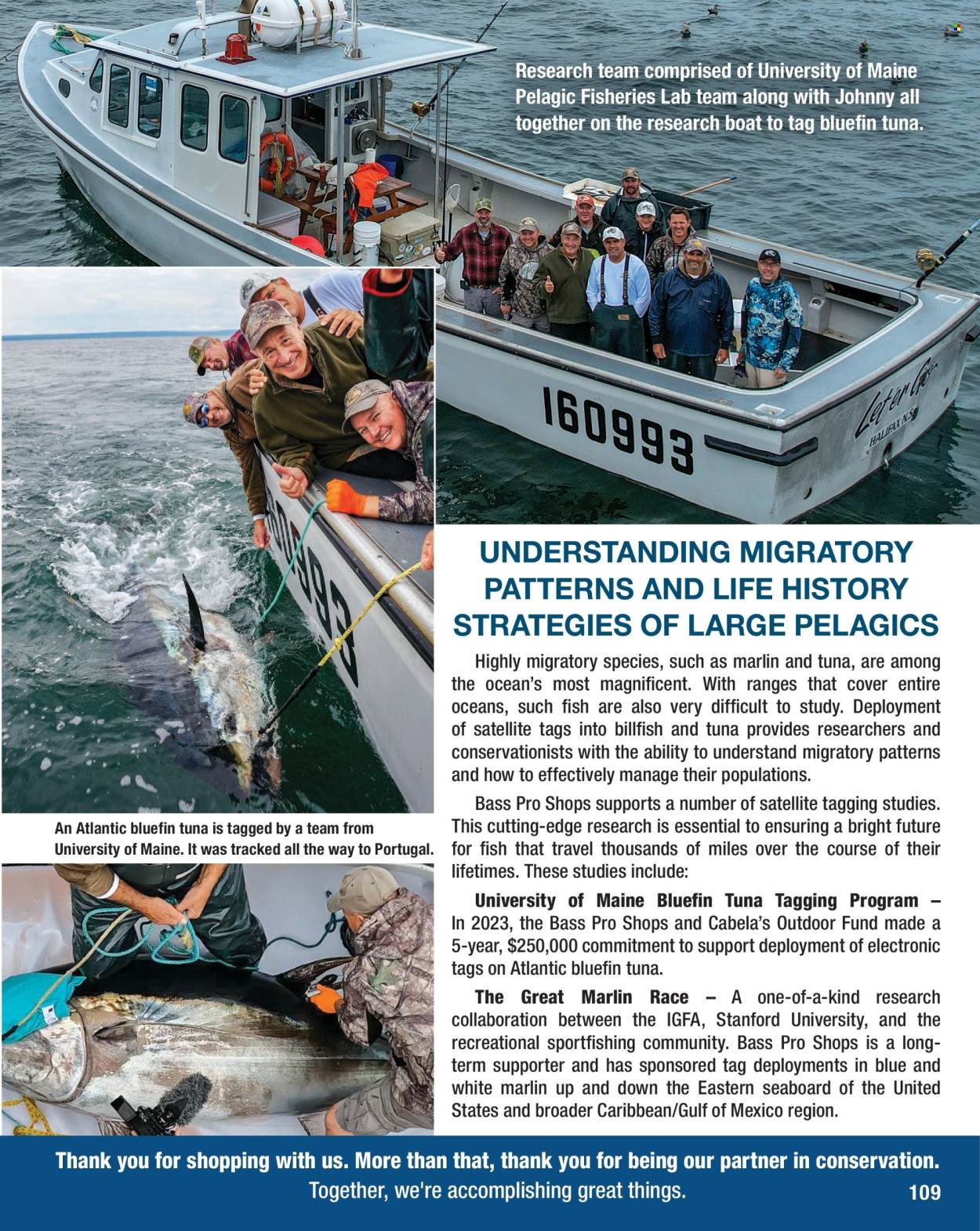 Cabela's ad. Page 1