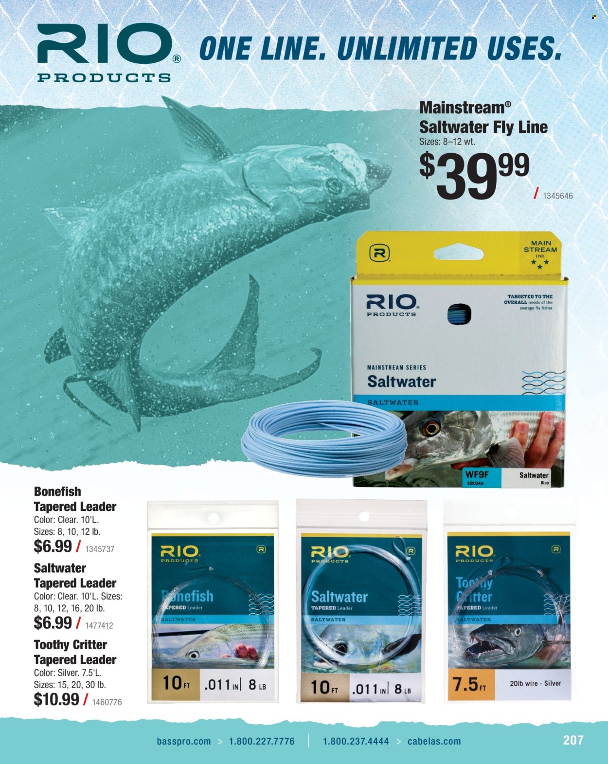 Cabela's ad. Page 1