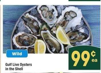 Gulf Live Oysters in the Shell - Wild