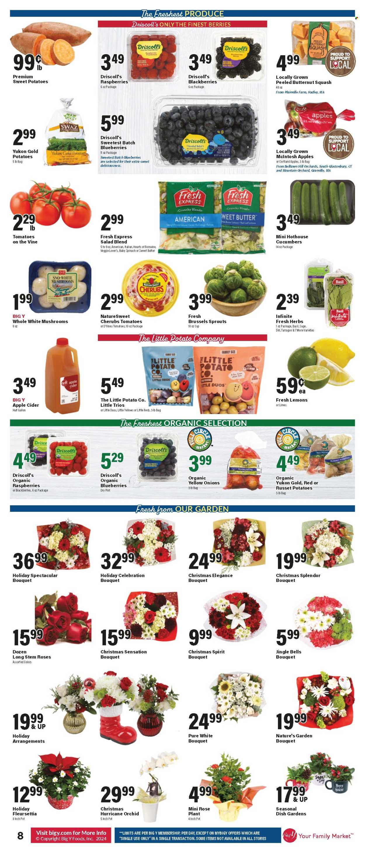 Big Y ad - 12/19/2024 - 12/25/2024. Page 1