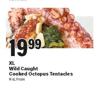 XL Wild Caught Cooked Octopus Tentacles