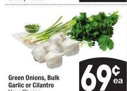 Green Onions, Bulk Garlic, or Cilantro - Your Choice