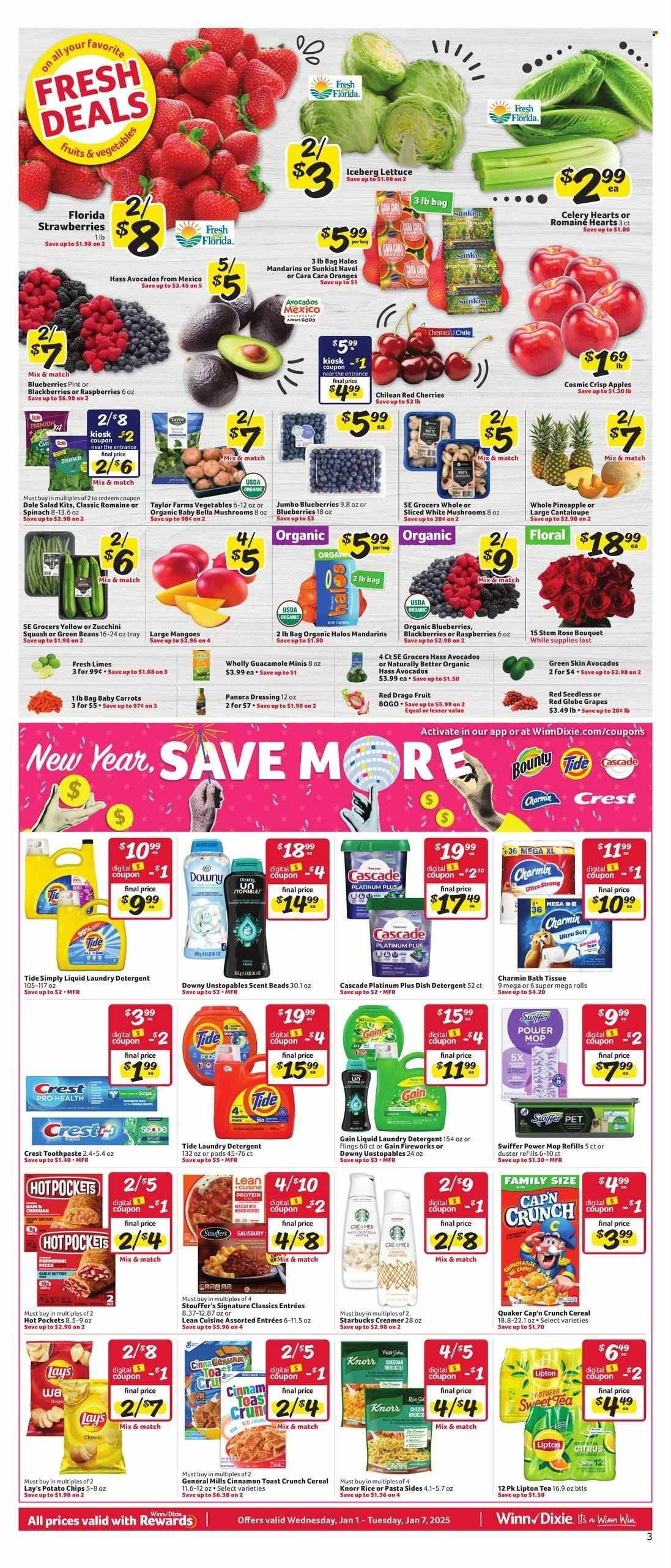 Winn Dixie ad - 01/01/2025 - 01/07/2025. Page 1