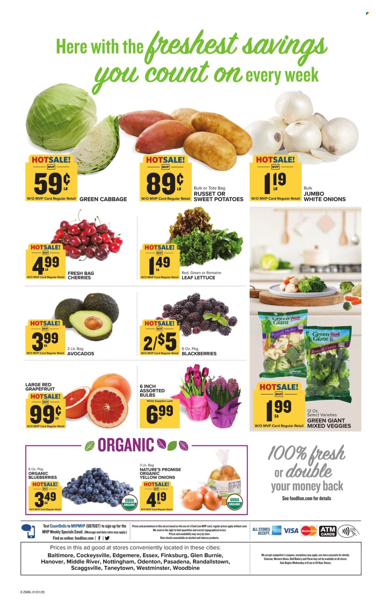 Food Lion ad - 01/01/2025 - 01/07/2025. Page 1