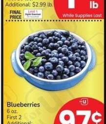 Blueberries - 6 oz.