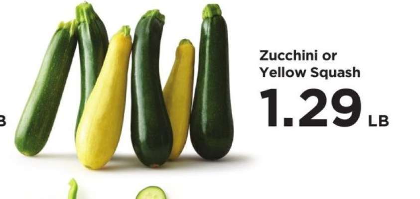 Zucchini or Yellow Squash