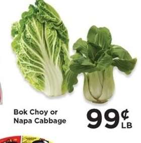 Bok Choy or Napa Cabbage