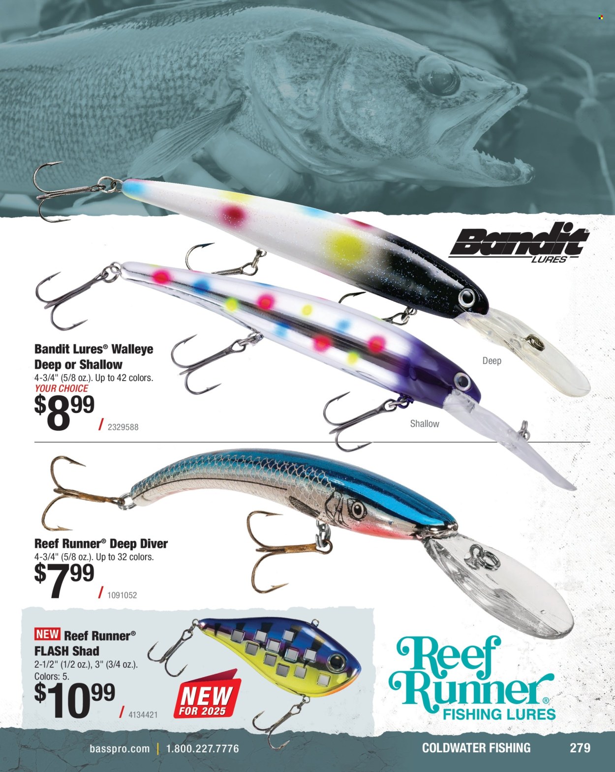 Cabela's ad. Page 1