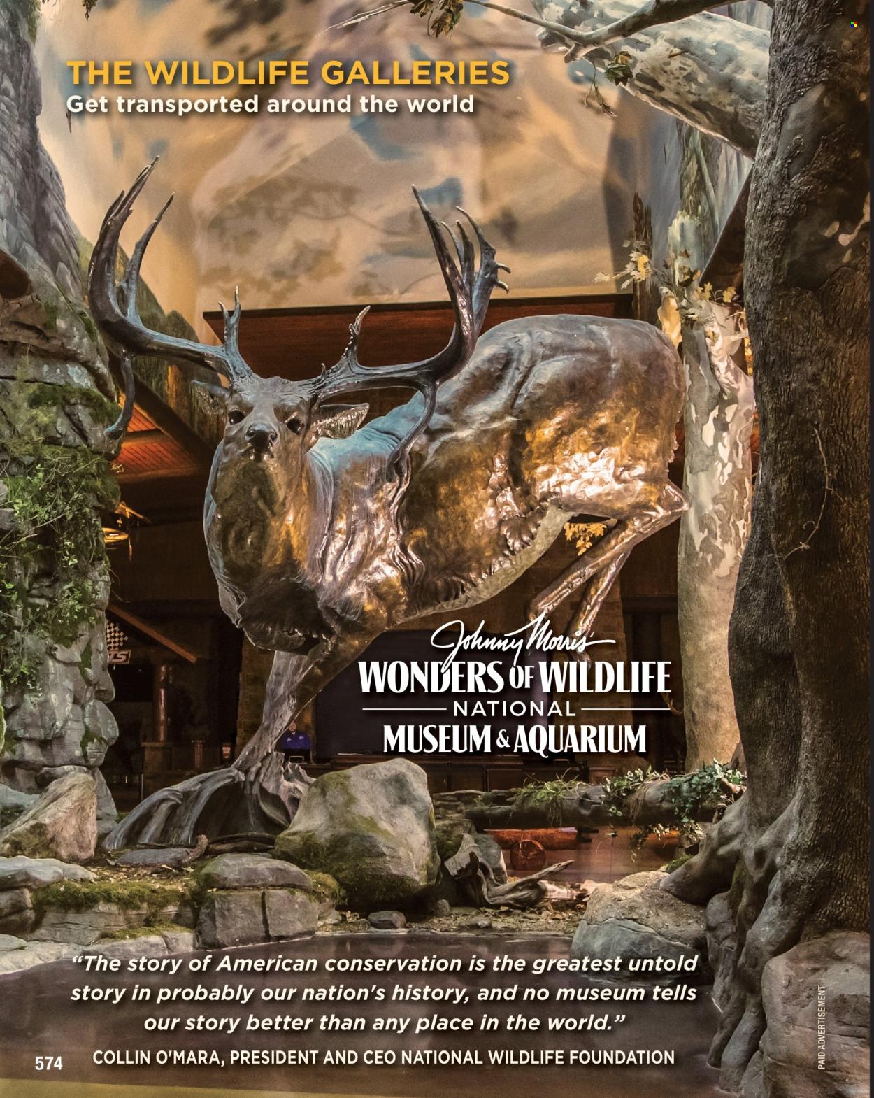 Cabela's ad. Page 1