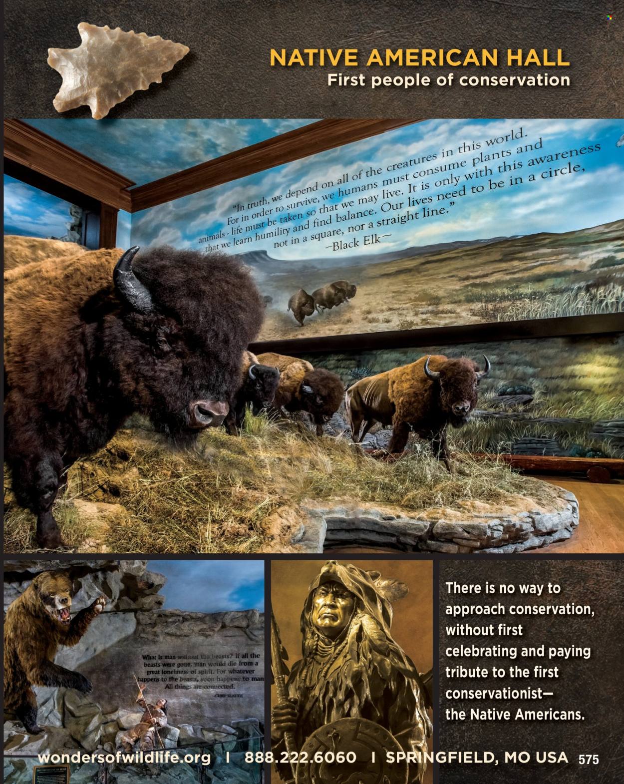 Cabela's ad. Page 1